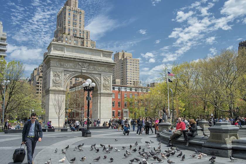 New York University