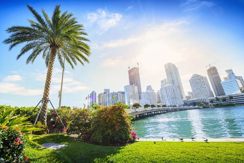 Miami International Student tax returns Sprintax