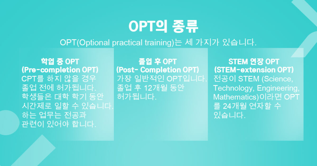 세 가지 유형의 OPT(선택적 실무 교육).